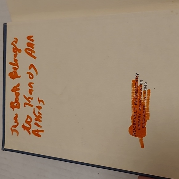 Set of 3 Dear America Books - Picture 12 of 16